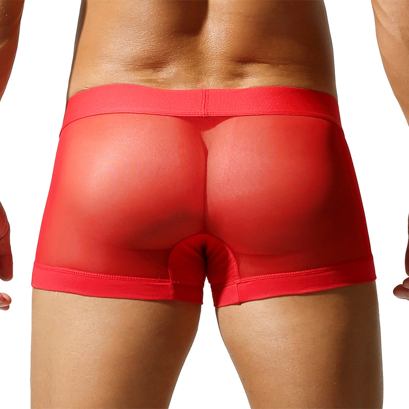 4 pieces SEOBEAN Men's Fashionable Ice Silk Mesh Semi-Transparent U-Shaped Briefs Comfortable Breathable Sexual Desire Underwear