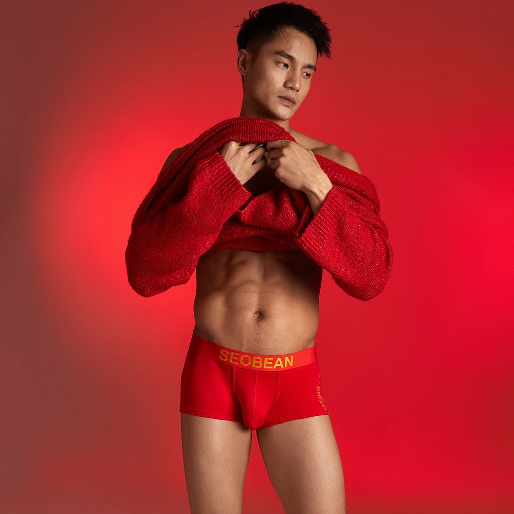 2 pieces SEOBEAN Men's underwear comfortable sweat-wicking boxers men's bump shorts