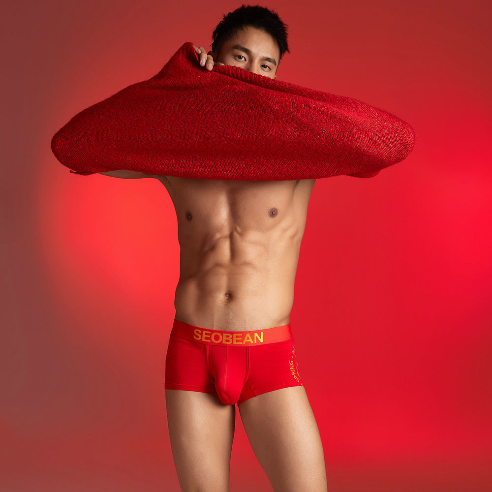 2 pieces SEOBEAN Men's underwear comfortable sweat-wicking boxers men's bump shorts