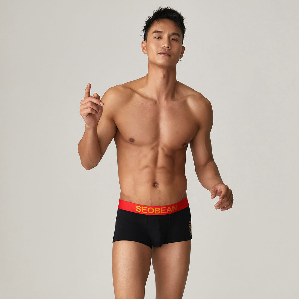 2 pieces SEOBEAN Men's underwear comfortable sweat-wicking boxers men's bump shorts